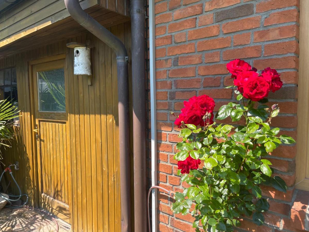 Urlaub Zwischen Den Meeren Apartment Schafflund Ngoại thất bức ảnh